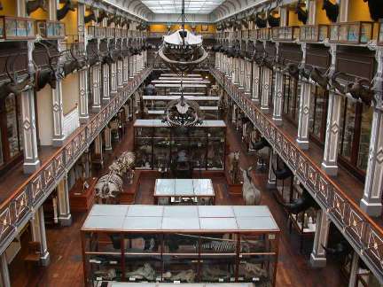 Museum of Natural History, Dublin