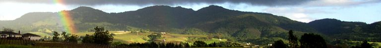 Scene of the Napa countryside with a rainbow